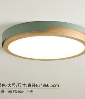 LED Round Ceiling Lights Nordic Style Ceiling Mounted Lamp