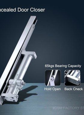 65Kgs Concealed Door Closer Hydraulic Buffered Automatic Clo
