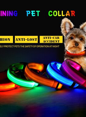 Shining Pet Dog Collar LED Light Pet Collar Traction Flashin