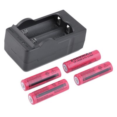 4x 2500mAh TR14500 3.7V Rechargeable Li-ion Battery + US Dua