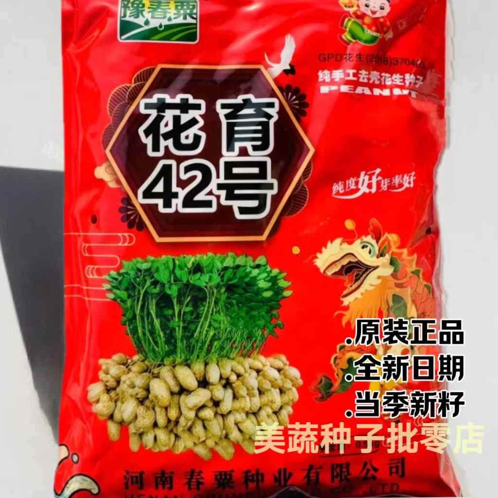 花育42花生种子大旱涝大高油耐高产粒薄皮田基地春夏季播种优选