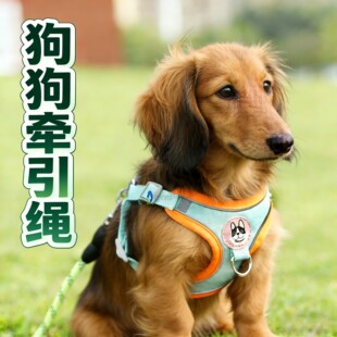 背心式腊肠犬狗狗牵引绳胸背栓狗绳防挣脱背带小狗小型犬通用调节
