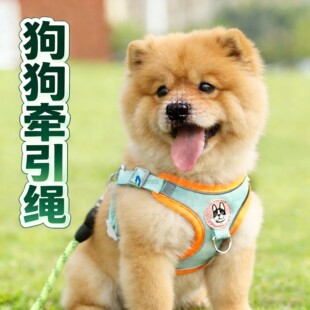 背心式松狮犬狗狗牵引绳胸背背带小狗防挣脱小型犬栓狗绳调节链子