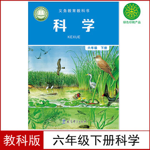 六年级下册科学书课本教材小学6六年级科学下册教育科学出版 社科学6六年级下册学生用书教科版 教科版 新版 6六下科学义务教育教科书