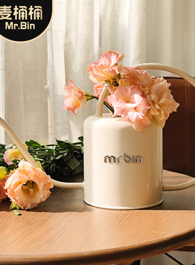 麦桶桶mrbin浇花水壶园艺长嘴尖嘴细嘴小多肉专用绿植浇水壶家用