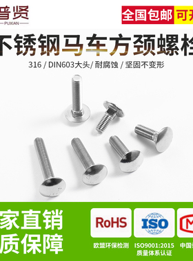 316不锈钢大头马车螺丝M6M8M10M12半圆头方颈扁头四方螺丝DIN603