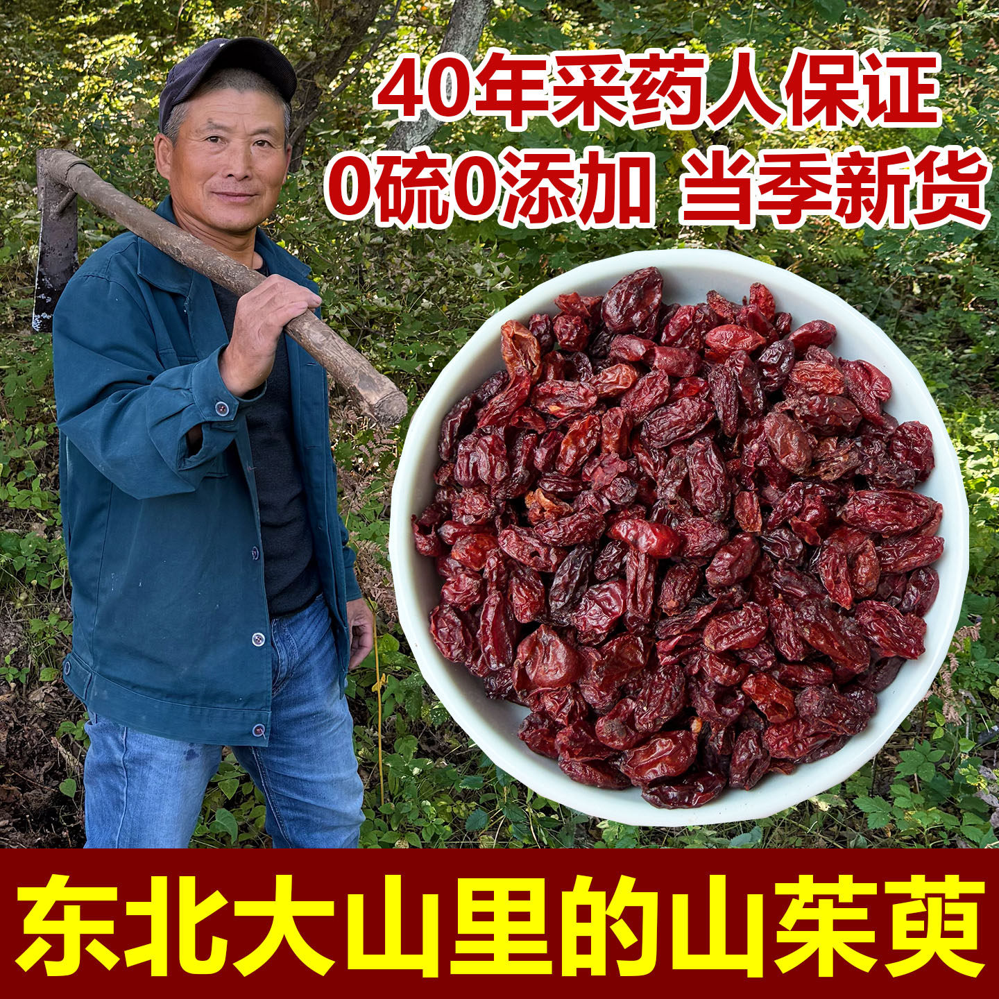 山茱萸中药材东北纯深山野生山茱萸无核无硫保正品泡茶山茱萸野生