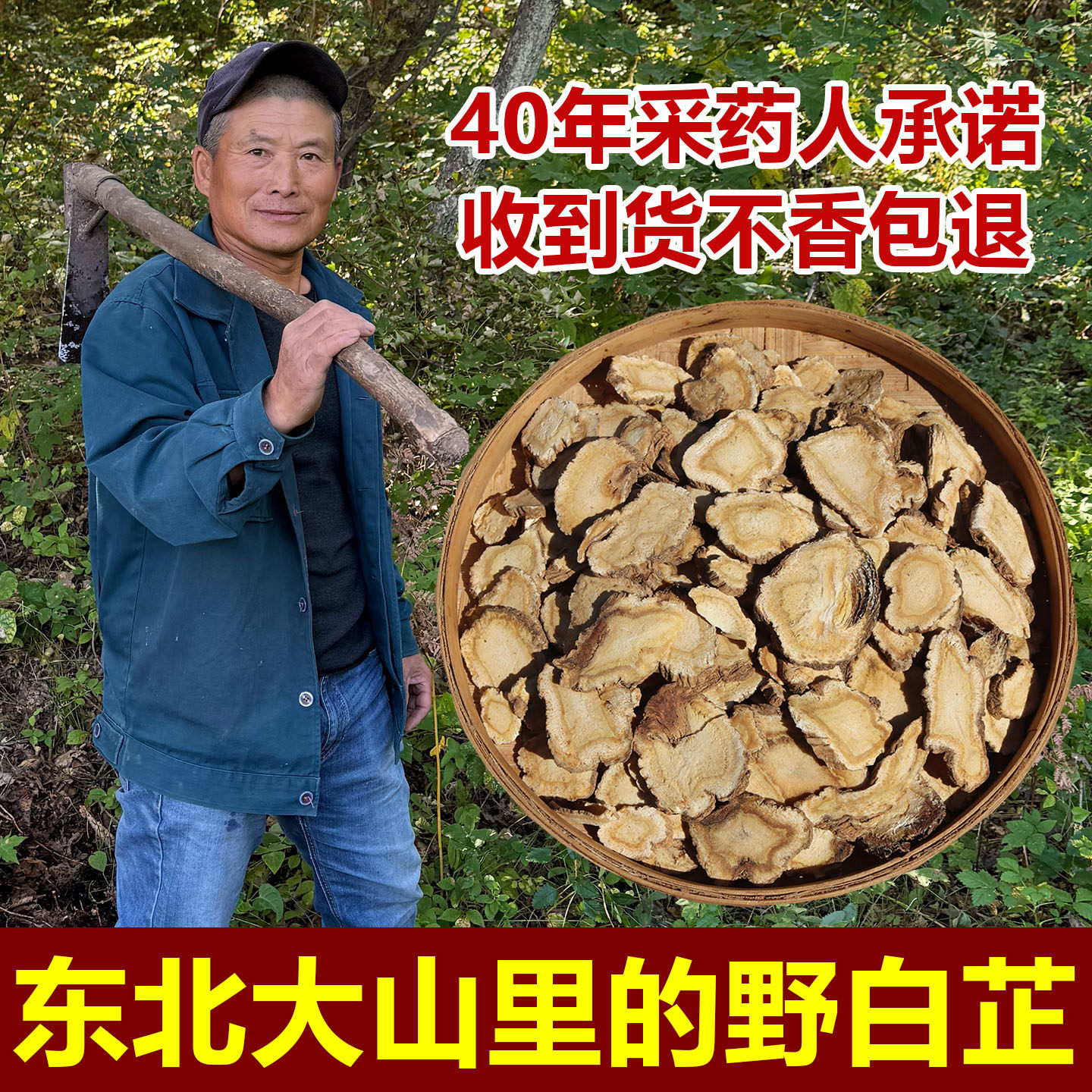 白芷中药材500g特级白芷煲汤香料