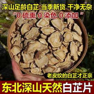 野生白芷中药材深山白芷自然晾晒无硫白芷片500g特级白芷煲汤香料