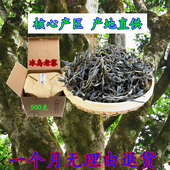 云南临沧茶区冰岛老寨普洱茶古树茶散生茶原产地老树茶500克好喝