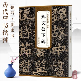 北魏 郑文公下碑 历代碑帖精粹 毛笔书法字帖高清原色原大简体旁注附技法解析局部放大16开 安徽美术