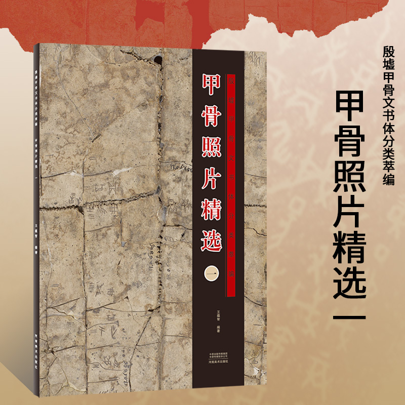 甲骨照片精选一殷墟甲骨文书体分类萃编王蕴智甲骨文字典古汉语象形文字文物考古工具书学术研究殷商说文解字甲骨文字画书法篆刻