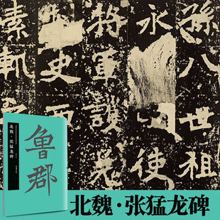 北魏 张猛龙碑 中国书法名碑名帖原色放大本14楷书放大碑帖 高清原色 附简体旁注 线绳装订易平铺易临摹初学临摹范本 胡紫桂编