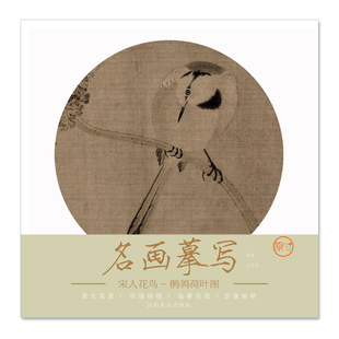 名画摹写 宋人花鸟 鹡鸰荷叶图 零基础初学入门学生成人自学白描样稿线稿画谱图稿底稿 原大原图临摹国画工笔画描摹画册
