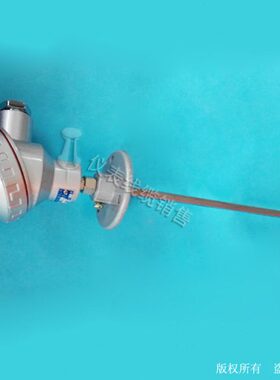 30  PT铂热电阻P法兰W    式  3热电阻-Z4Z1W33活动-PP103Z3 -W0