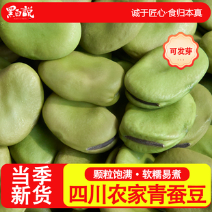 四川特产青皮蚕豆干货可发芽青蚕豆干蚕豆绿皮生蚕豆罗汉豆胡豆