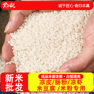 桂朝米新米四川正宗肠粉凉糕凉虾米粉豆腐老品种籼米贵朝米朝桂米