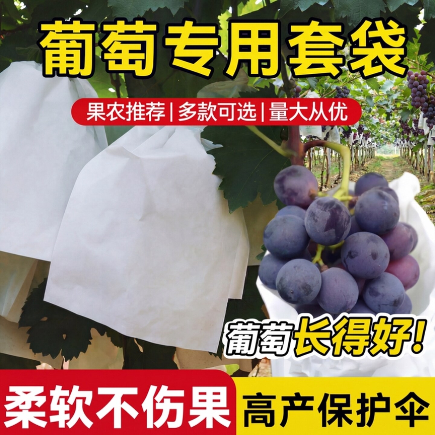 葡萄套袋专用袋子防虫防鸟神器纱网袋草莓阳光玫瑰保护袋大号套袋