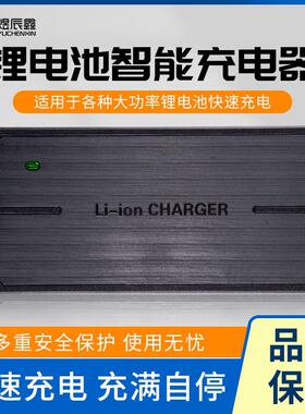 锂电充电器12v24v48v60vx72v三元铁锂充满自停5A8A大功率智能快