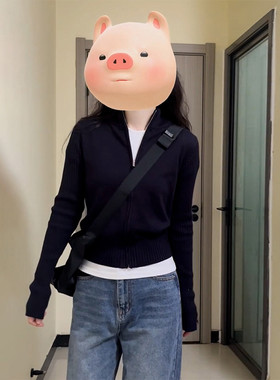 黑色拉链a针织开衫外套女装2024早秋季新款外P搭毛衣修身打底衫上