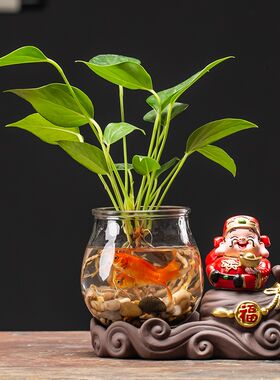 .水培绿萝玻璃瓶透明养花花瓶z水养鱼桌面陶瓷插S花器皿居家装饰