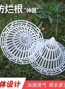 花盆垫片底孔垫网透气防烂根神器兰花沥水罩底部塑料盆景锥形网片
