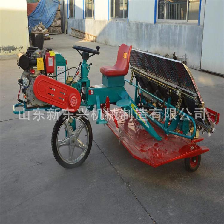 出口新款高速乘坐式水稻插秧机 水稻秧苗种植机 六行栽苗机厂家