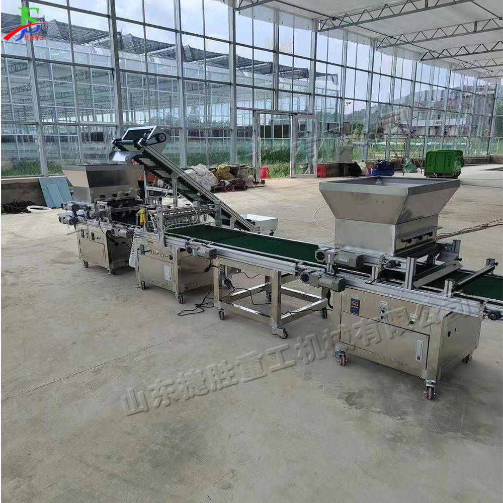 Automatic seeds sowing machine 花卉播种设备 蔬菜育苗撒播机