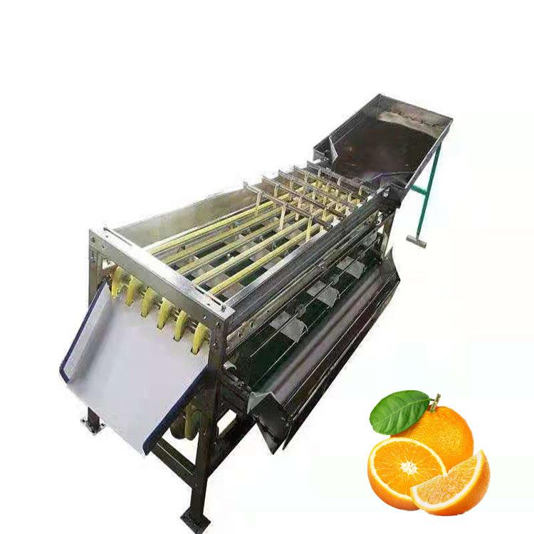 金桔分级机红橙分果机番石榴筛选机牛油果分大小机皮带式分选机