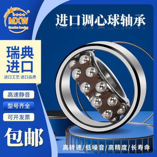进口MXW轴承1300 1301 1302 1303 1304 1305 1306K E-2RS1TN9 C3
