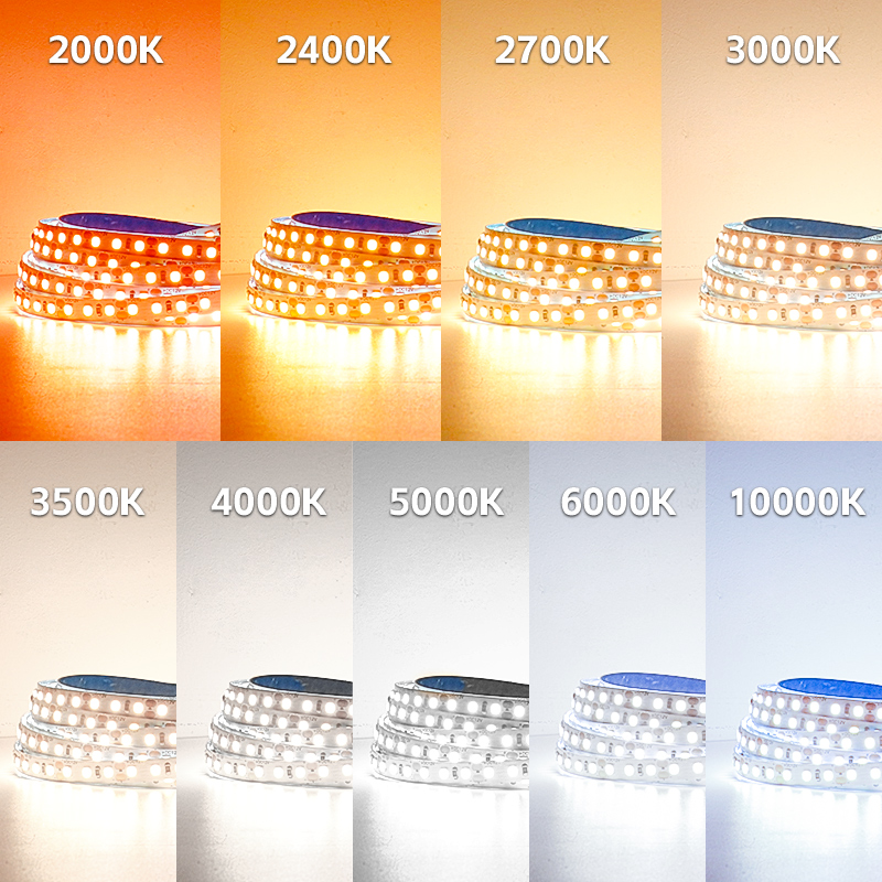 12灯带 24v灯带2000K2700K3000K3500K4000K5000K6000K色温led灯条