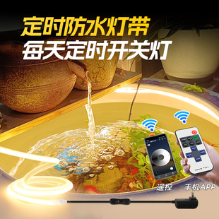 定时防水鱼缸灯带古法鱼缸灯24v低压智能遥控定时开关装饰led灯带