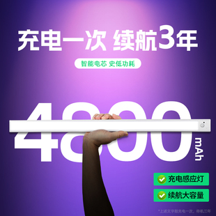 感应灯人来即亮人走即灭夜间自动充电款感应灯条自粘无线入户门灯