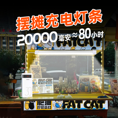 充电灯管 夜市摆摊专用充电款超亮三轮车照明灯长条灯带led灯条