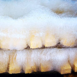 顺丰发货黄山徽州毛豆腐生品安徽特产霉豆腐徽菜食材居家烹饪餐厅