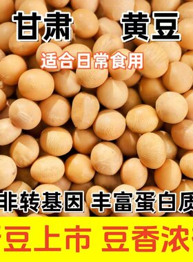 生黄豆甘肃特产2025年新货 甘肃生黄豆可发芽 可打浆