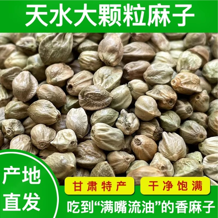 2025新麻子大粒甘肃特产特大生麻子火麻籽人吃炒熟油香麻子大颗粒