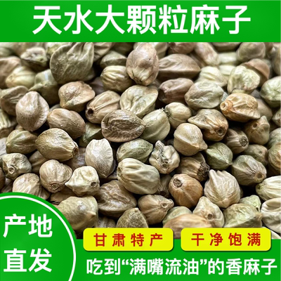天架山天水麻子大粒甘肃特产特大生麻子火麻籽人吃炒熟食用大颗粒