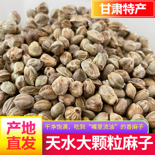 麻子大粒甘肃特产特大生麻子火麻子籽人吃炒熟油食用香麻子大颗粒