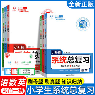 小升初系统总复习语文数学英语考前一搏知识归纳考点大全五年级六年级冲刺专项训练 毕业升学小学升初中刷真题刷母题必备模拟试卷