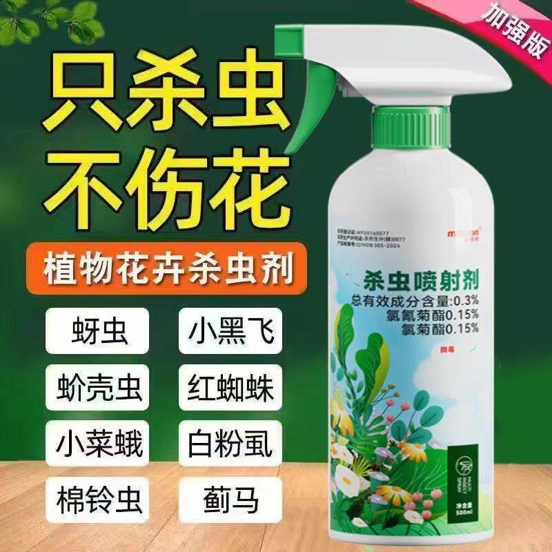 养花盆里有小虫多肉虫子药小飞虫的杀虫剂生虫木瓜树虫子阳台花草