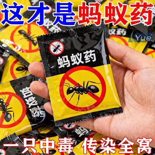 黑蚁防治专用药除飞蚁杀蚂蚁一锅端家用黑蚁喷剂杀虫剂一巢灭蚂蚁