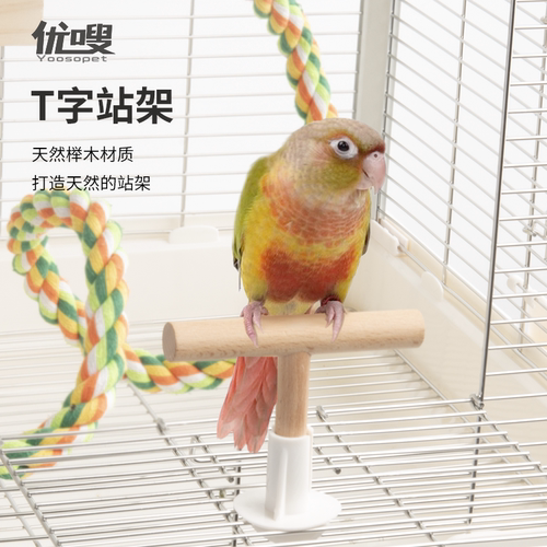 优嗖T字站架榉木实木站棍鸟笼互动鸟玩具牡丹玄凤磨爪鸟用站杆