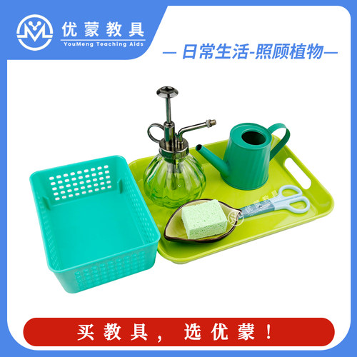 蒙台梭利照顾植物照顾环境擦叶子