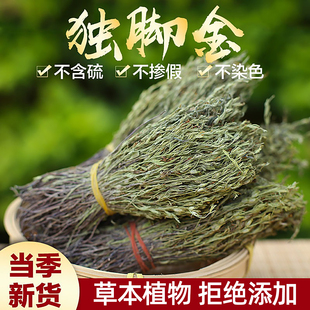独角金草药广西野生新鲜独脚金饿蚂蟥疳积草中调理脾胃儿童消积汤