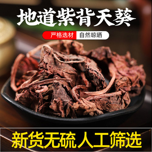紫背天葵中药材正品官方旗舰店