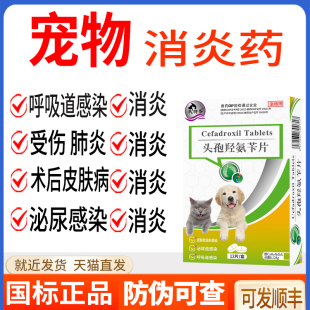 肤特芬狗狗消炎药宠物猫咪用皮肤炎尿路感染尿道炎泌尿头孢羟氨片