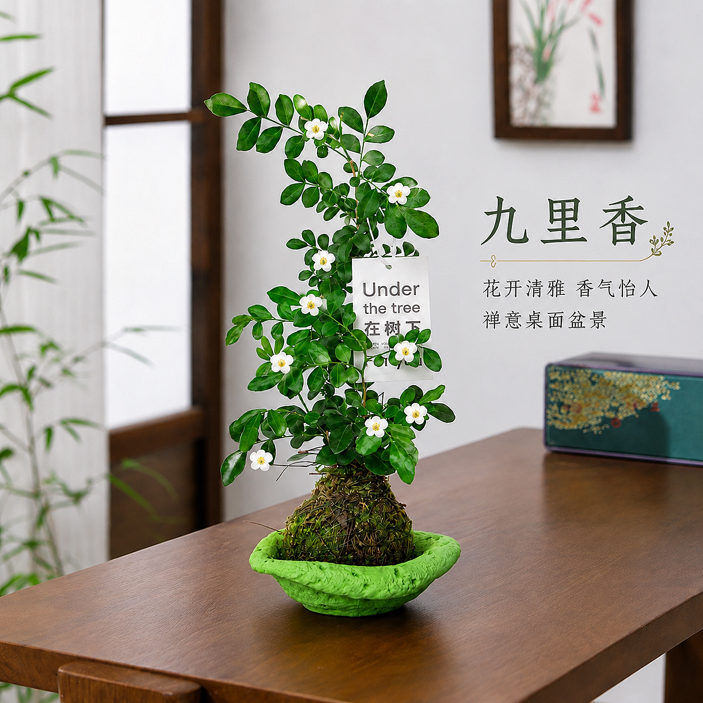 造型九里香盆栽新中式禅意摆件办桌面绿植