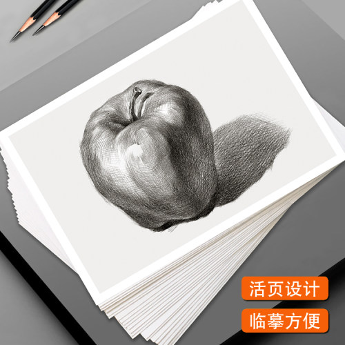 素描静物临摹卡步骤双面印刷美术培训绘画初级入门高清原创40张