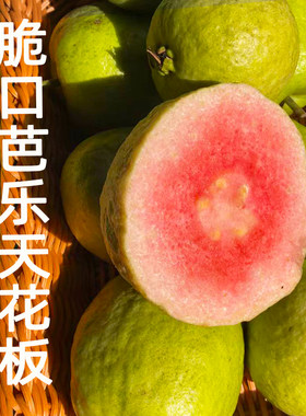 红宝石番石榴无籽芭乐脆甜低糖红心红肉番石榴水果礼盒顺丰包邮